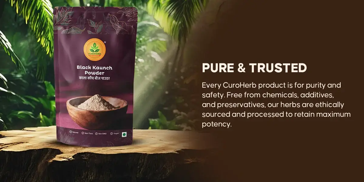 black-kaunch-pure.webp