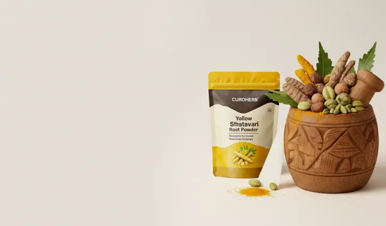 Connect with Your Roots