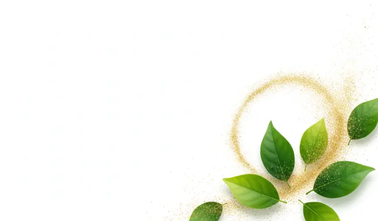 Transform Your Life. The Modern Ayurvedic Way