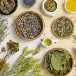 Ayurvedic Remedies for Daily Health Problems: A Natural Wellness Guide