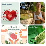 Moringa Powder  Superfood for Energy & Immunity  CuroHerb