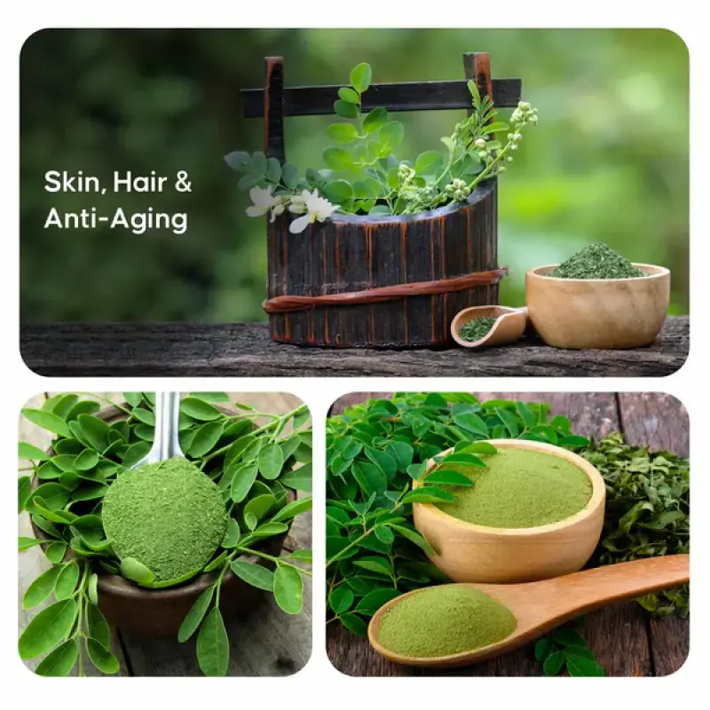 Moringa Powder Superfood for Energy & Immunity CuroHerb