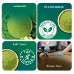 Moringa Powder  Superfood for Energy & Immunity  CuroHerb