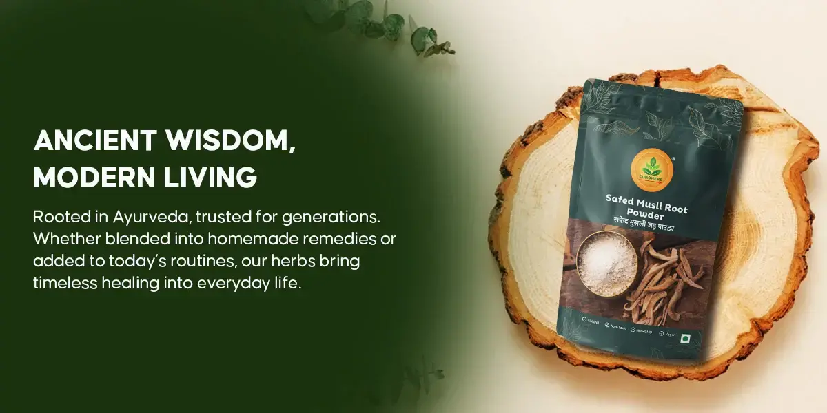 Safed Musli Root Powder – Description - 3