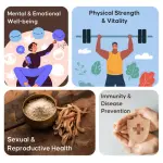 Safed Musli Root Powder  Strength & Vitality  CuroHerb